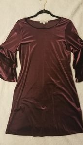 Velvet Dress